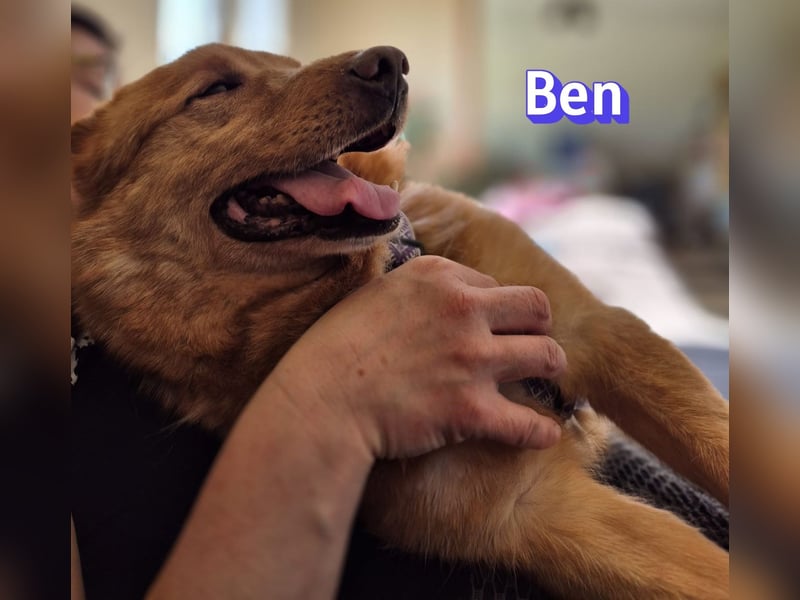 VERMITTLUNGSHILFE Ben, 91413 Unternesselbach