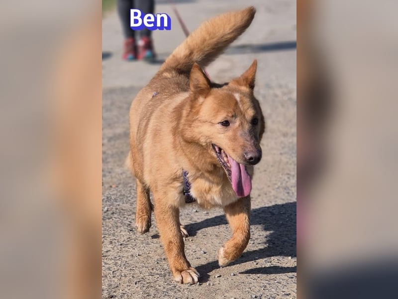 VERMITTLUNGSHILFE Ben, 91413 Unternesselbach