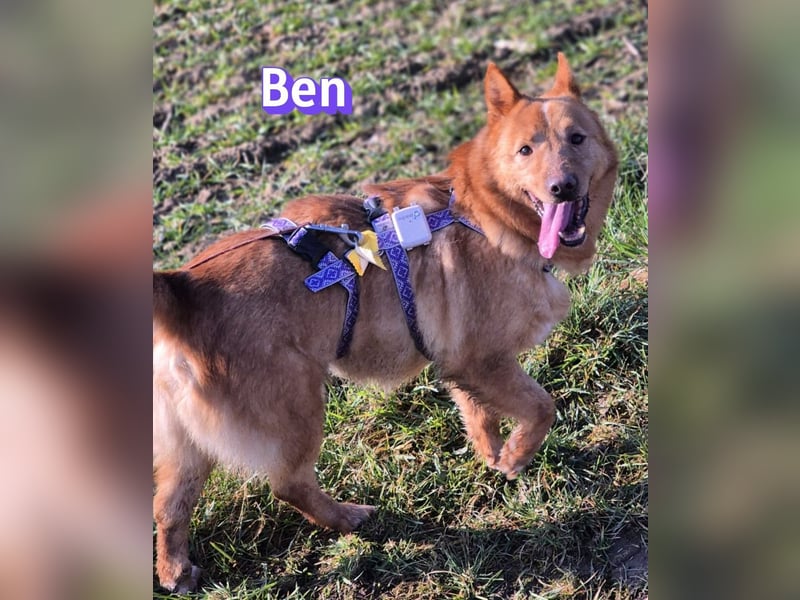 VERMITTLUNGSHILFE Ben, 91413 Unternesselbach