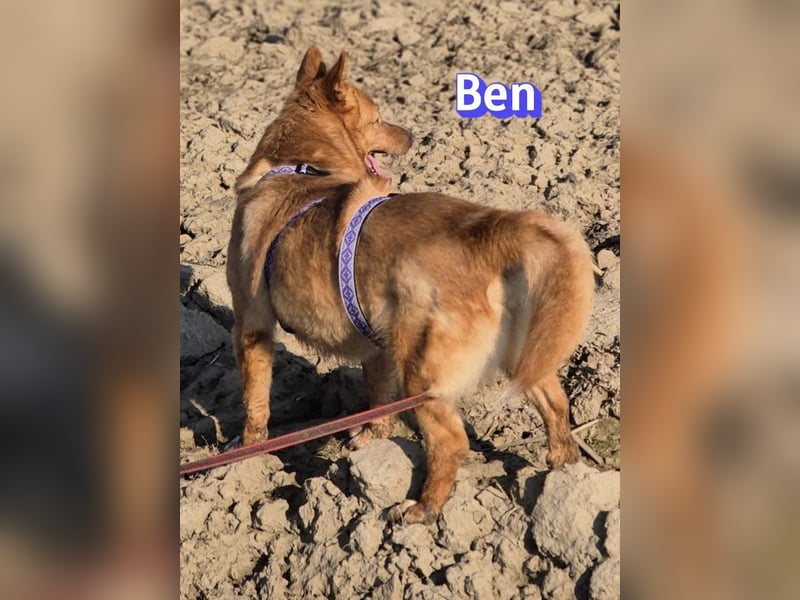 VERMITTLUNGSHILFE Ben, 91413 Unternesselbach