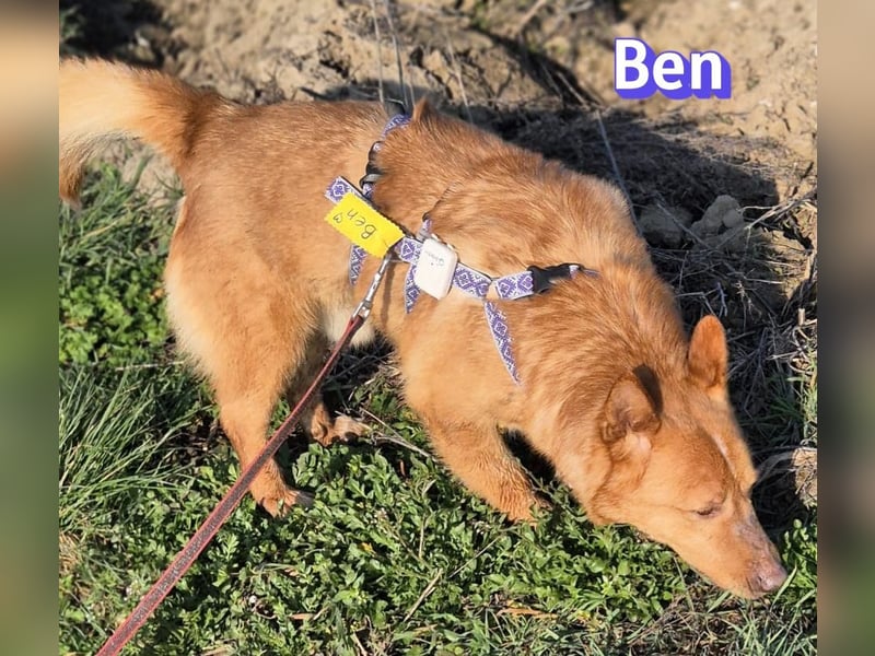 VERMITTLUNGSHILFE Ben, 91413 Unternesselbach