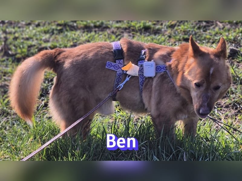 VERMITTLUNGSHILFE Ben, 91413 Unternesselbach