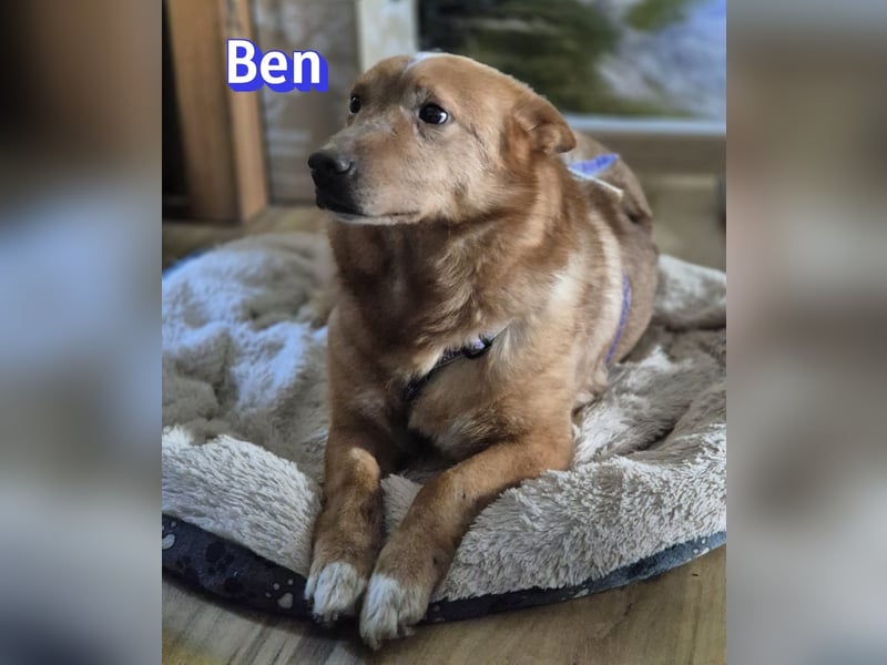 VERMITTLUNGSHILFE Ben, 91413 Unternesselbach