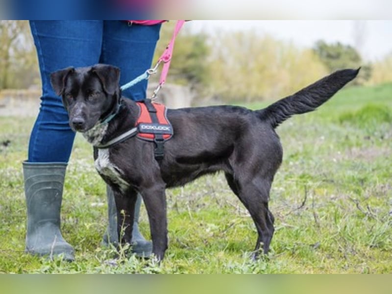 SALI SI sucht ihr Herz-Zuhause ❤️