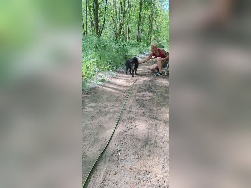 Kuksi_BE_sensibler Junge sucht sein Zuhause 