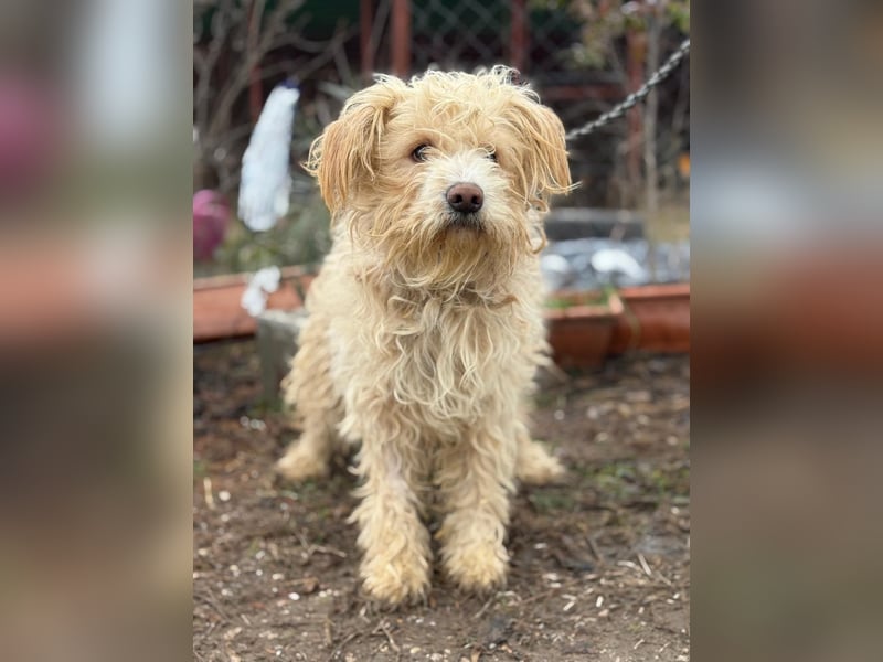 Floki KK Raus aus dem Heim rein ins Herz