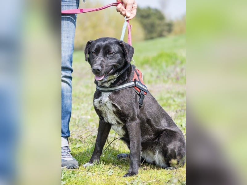 SALI SI sucht ihr Herz-Zuhause ❤️