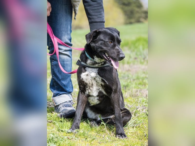 SALI SI sucht ihr Herz-Zuhause ❤️