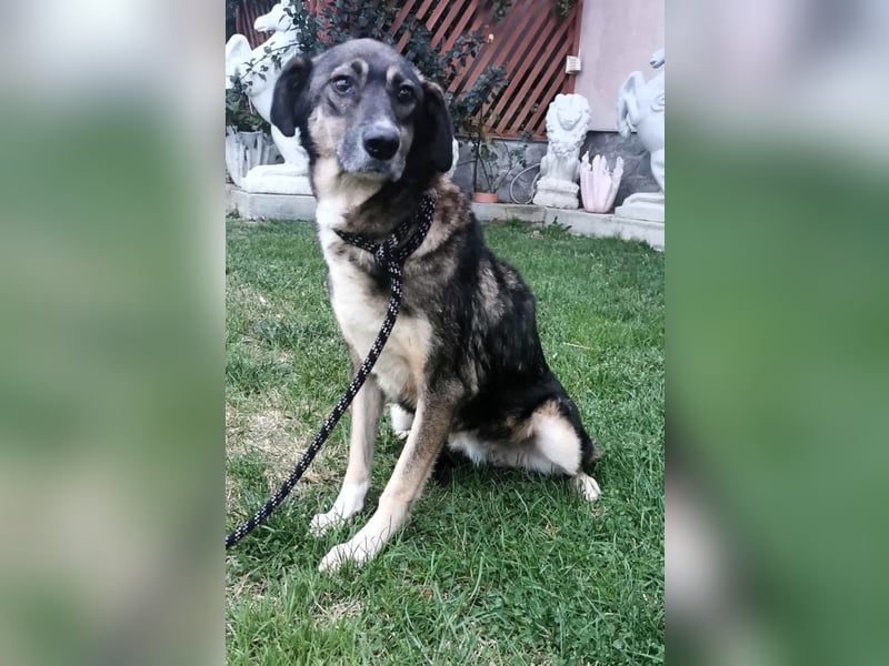 Bella LUNA - ist eine Herzensentscheidung