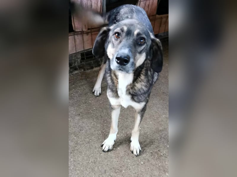 Bella LUNA - ist eine Herzensentscheidung