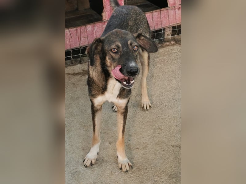 Bella LUNA - ist eine Herzensentscheidung