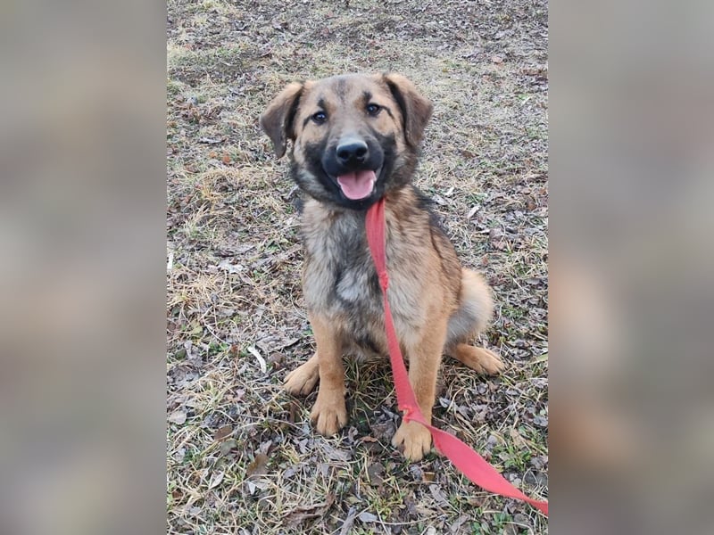 Hallo Welt – ich, der Marc, suche ein Zuhause