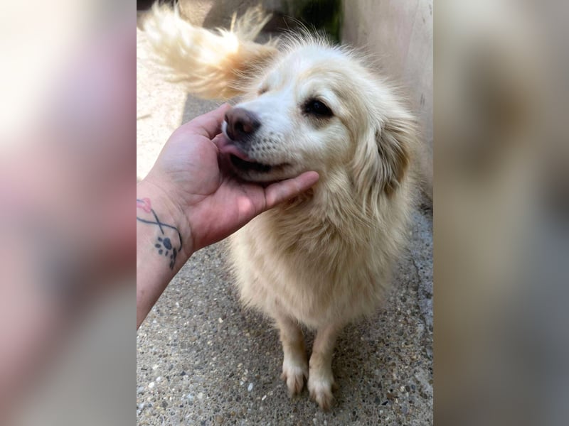 Rosalie - facettenreich und dazu noch bildhübsch