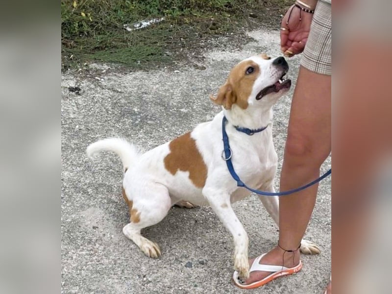 Gute Laune „Meggie“  ist startklar für ein neues Leben