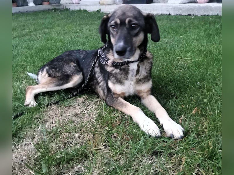 Bella LUNA - ist eine Herzensentscheidung