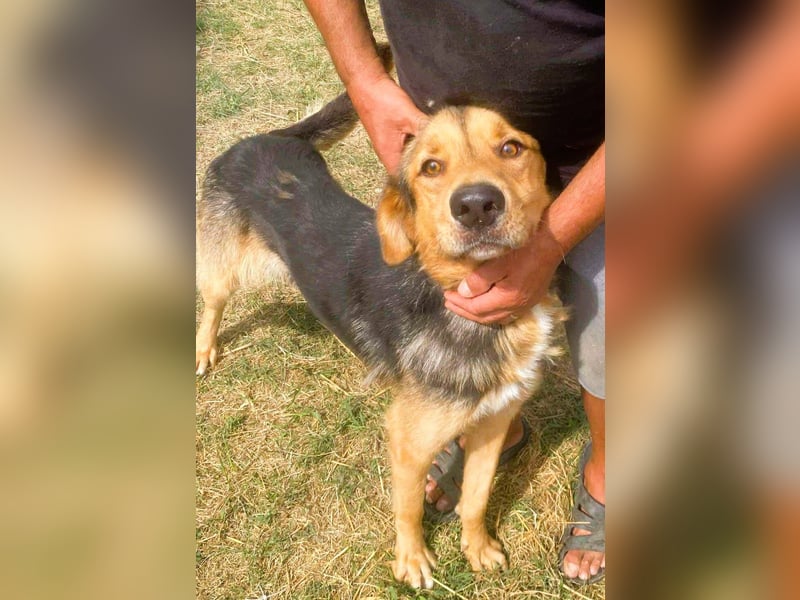 Sajan - ein Freund und noch viel mehr Sajan - ein Freund und noch viel mehr