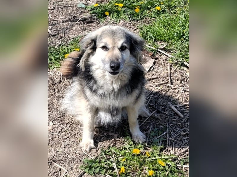 Rita - ein ganz besonderes Mädchen sucht ihr Plätzchen für immer