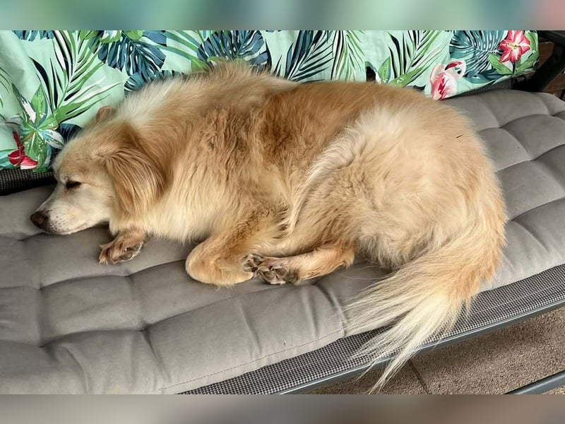 Rosa – hübsche Maus wartet in PLZ 75217 Birkenfeld auf Besuch