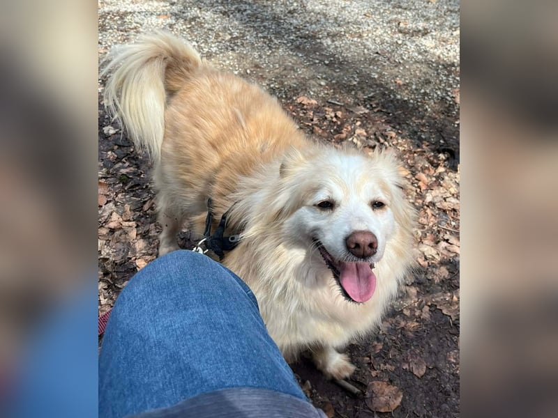 Rosa – hübsche Maus wartet in PLZ 75217 Birkenfeld auf Besuch