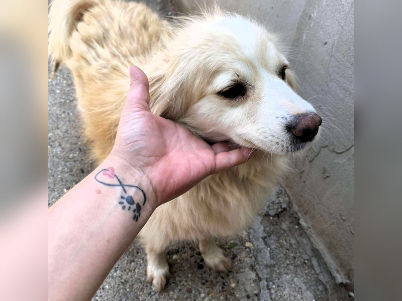 Rosalie - facettenreich und dazu noch bildhübsch