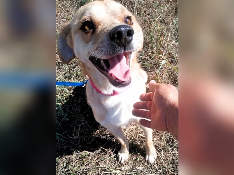 SEPPI – Fiffikus mit ganz viel Charme