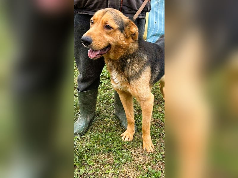 Sajan - ein Freund und noch viel mehr Sajan - ein Freund und noch viel mehr