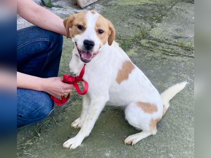 Gute Laune „Meggie“  ist startklar für ein neues Leben