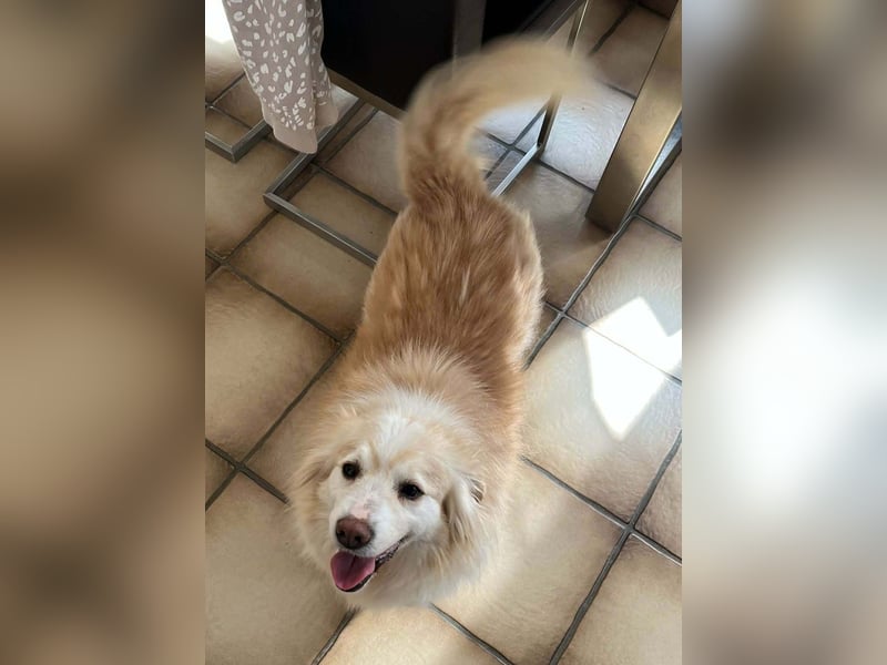 Rosa – hübsche Maus wartet in PLZ 75217 Birkenfeld auf Besuch