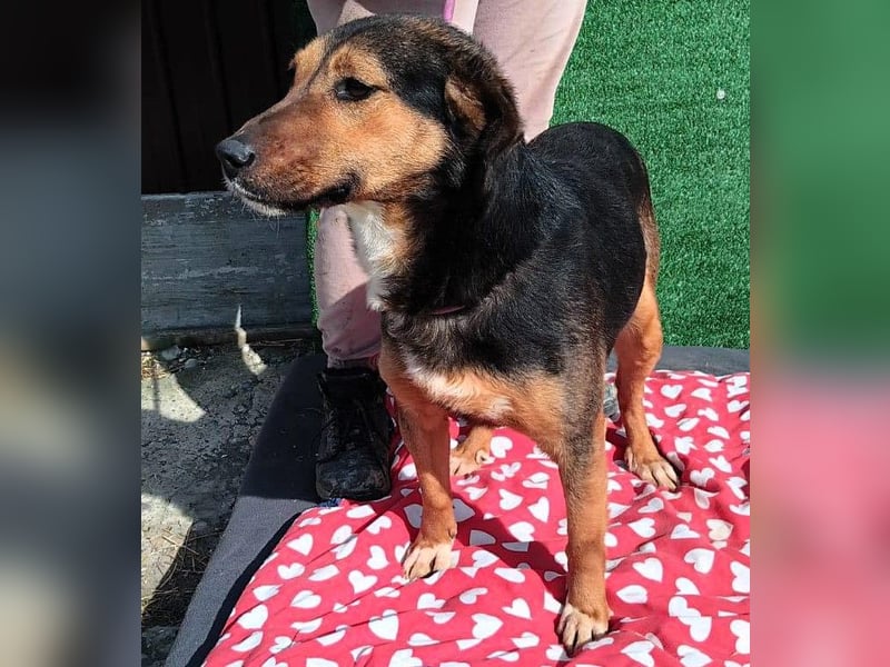 Hanni - das ganz besonders hübsche Mädchen