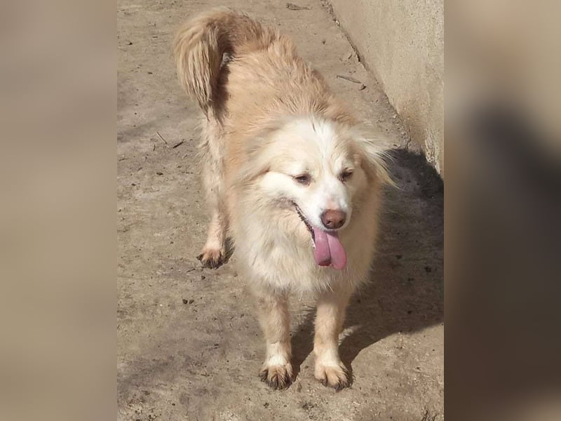 Rosalie - facettenreich und dazu noch bildhübsch