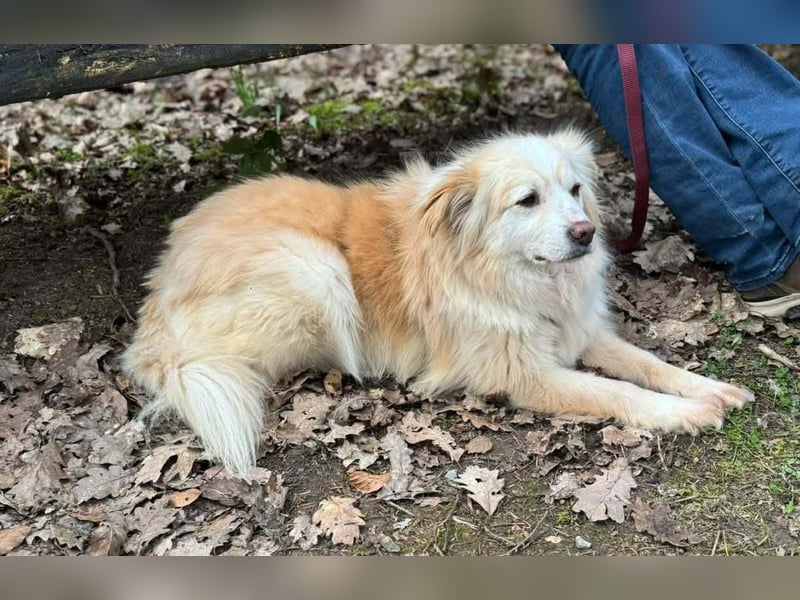 Rosa – hübsche Maus wartet in PLZ 75217 Birkenfeld auf Besuch