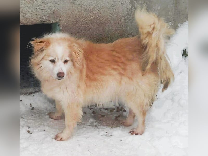 Rosalie - facettenreich und dazu noch bildhübsch