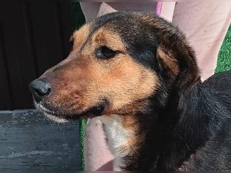 Hanni - das ganz besonders hübsche Mädchen