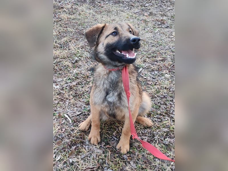 Hallo Welt – ich, der Marc, suche ein Zuhause