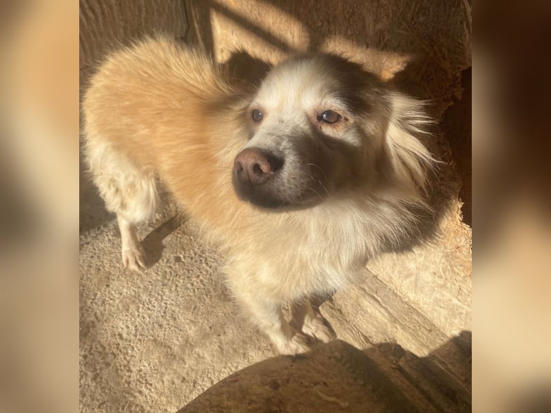 Rosalie - facettenreich und dazu noch bildhübsch