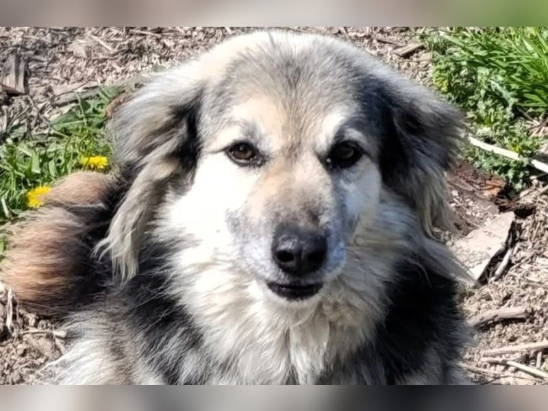 Rita - ein ganz besonderes Mädchen sucht ihr Plätzchen für immer