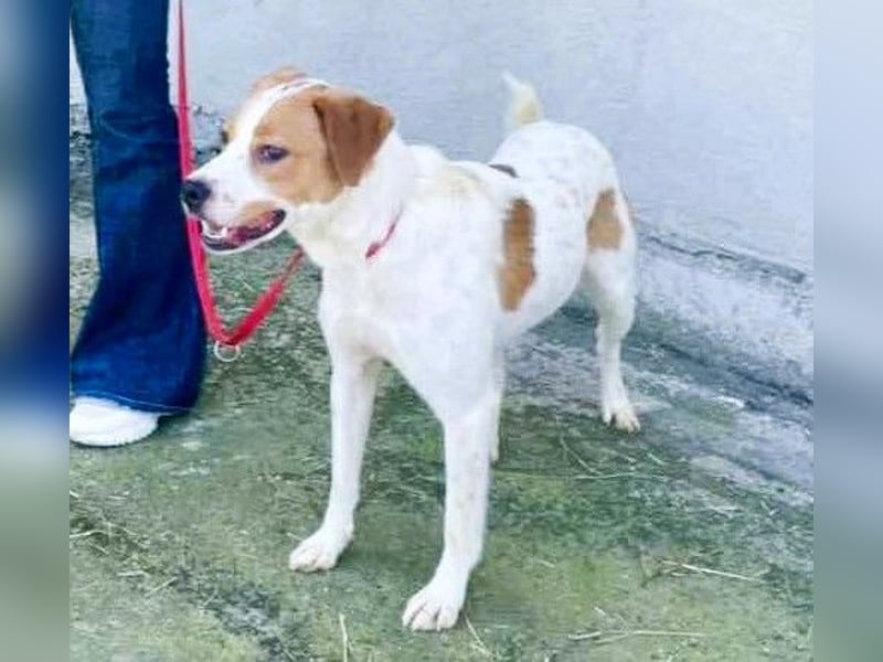 Gute Laune „Meggie“  ist startklar für ein neues Leben