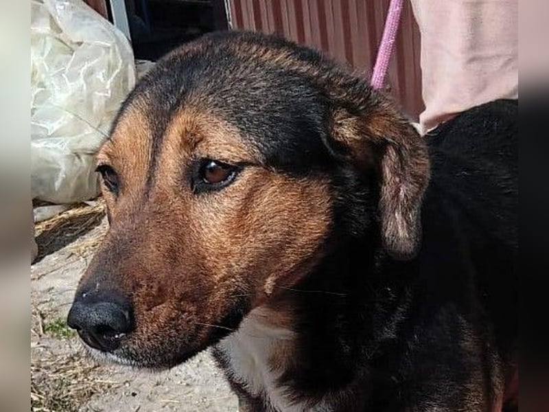 Hanni - das ganz besonders hübsche Mädchen