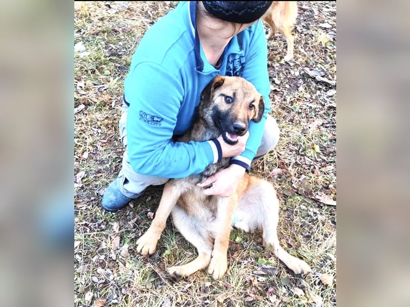 Hallo Welt – ich, der Marc, suche ein Zuhause