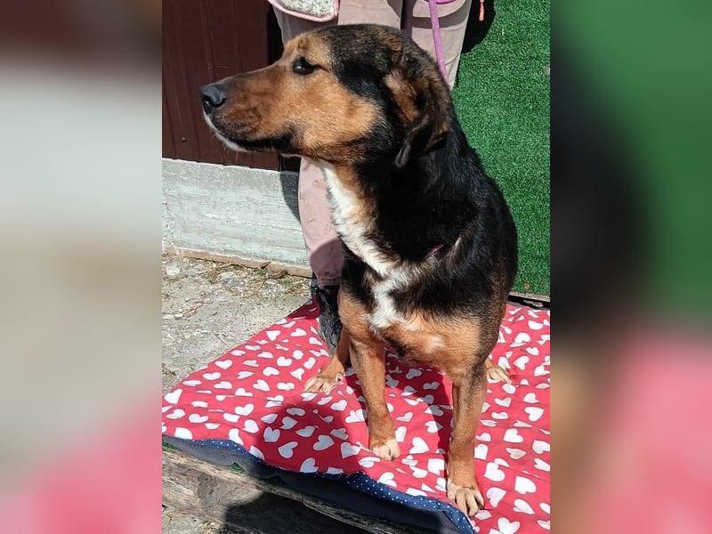 Hanni - das ganz besonders hübsche Mädchen