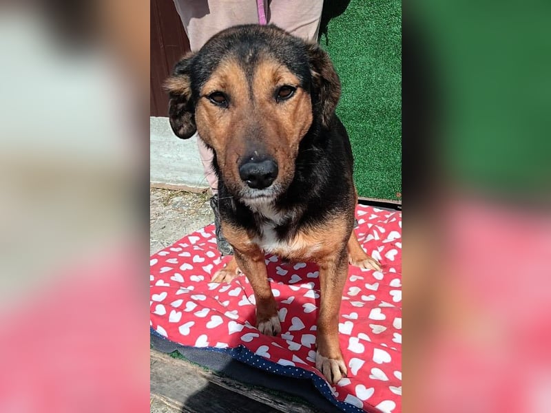 Hanni - das ganz besonders hübsche Mädchen