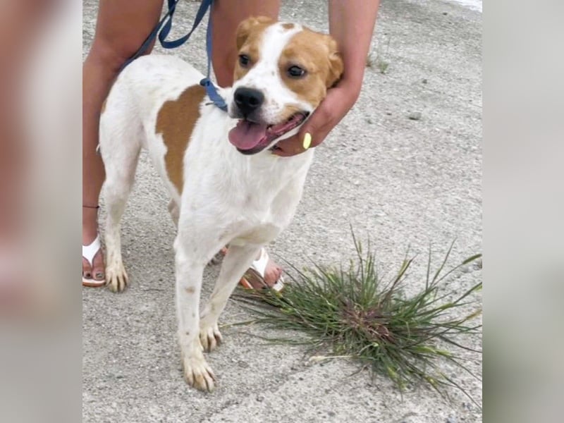 Gute Laune „Meggie“  ist startklar für ein neues Leben