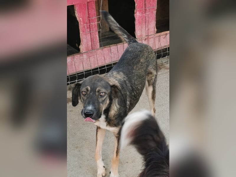 Bella LUNA - ist eine Herzensentscheidung