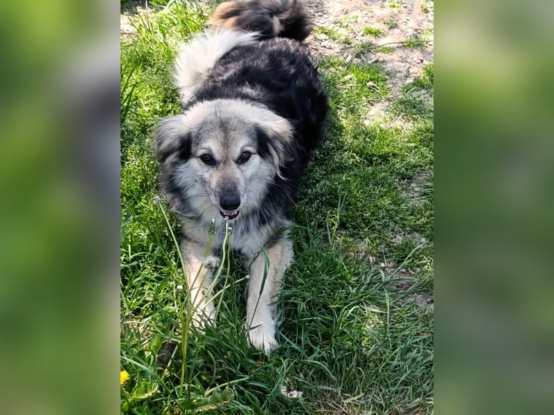 Rita - ein ganz besonderes Mädchen sucht ihr Plätzchen für immer