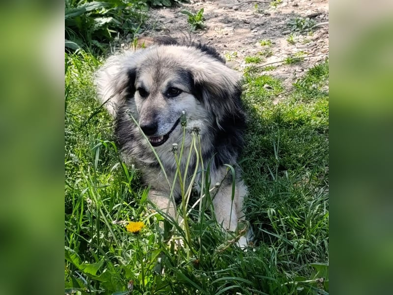 Rita - ein ganz besonderes Mädchen sucht ihr Plätzchen für immer