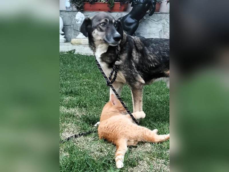 Bella LUNA - ist eine Herzensentscheidung