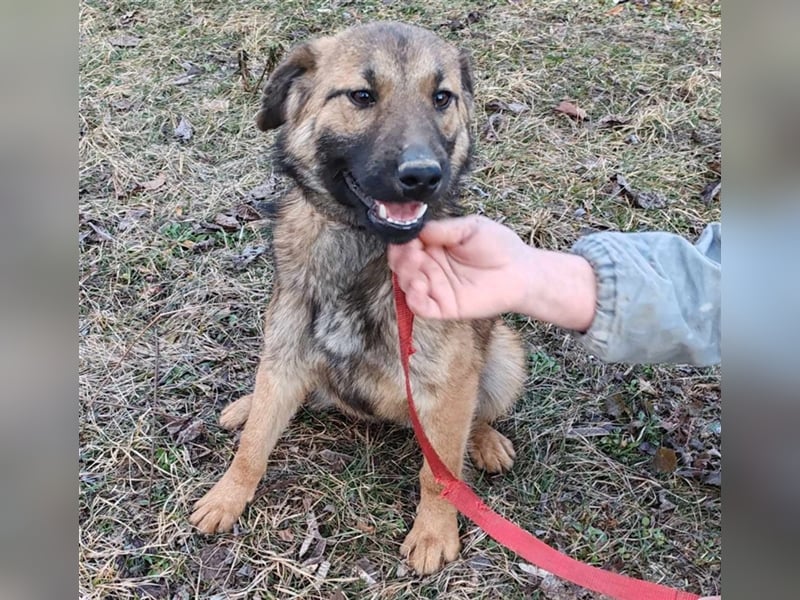 Hallo Welt – ich, der Marc, suche ein Zuhause