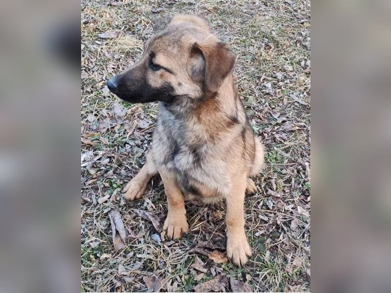 Hallo Welt – ich, der Marc, suche ein Zuhause