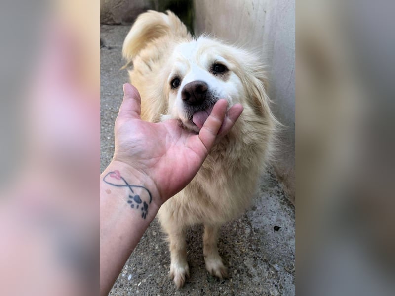 Rosalie - facettenreich und dazu noch bildhübsch