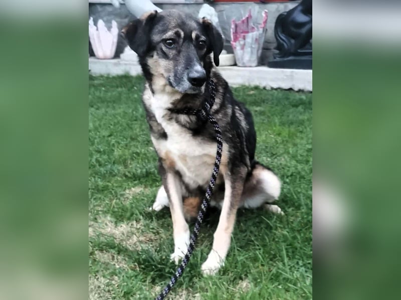 Bella LUNA - ist eine Herzensentscheidung